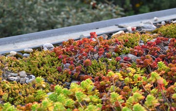 the cost of Crooke green roof installation